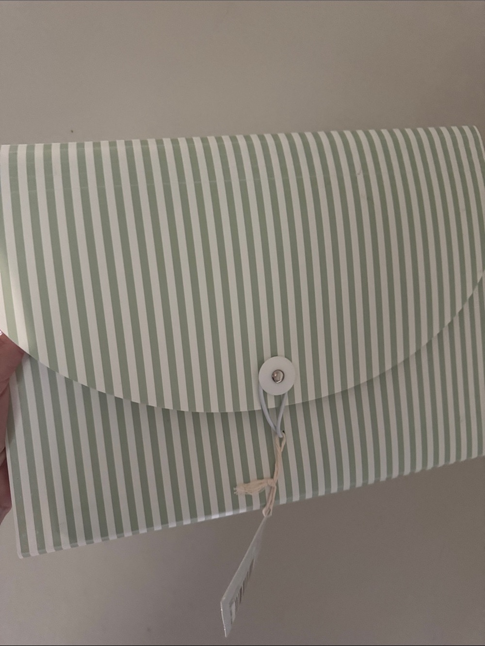 Striped Sage Green Document Envelope with Button-String Closure
